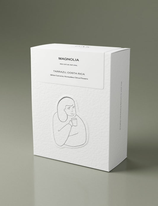 MAGNOLIA – Costa Rica - DAK 200g - Andante Coffee